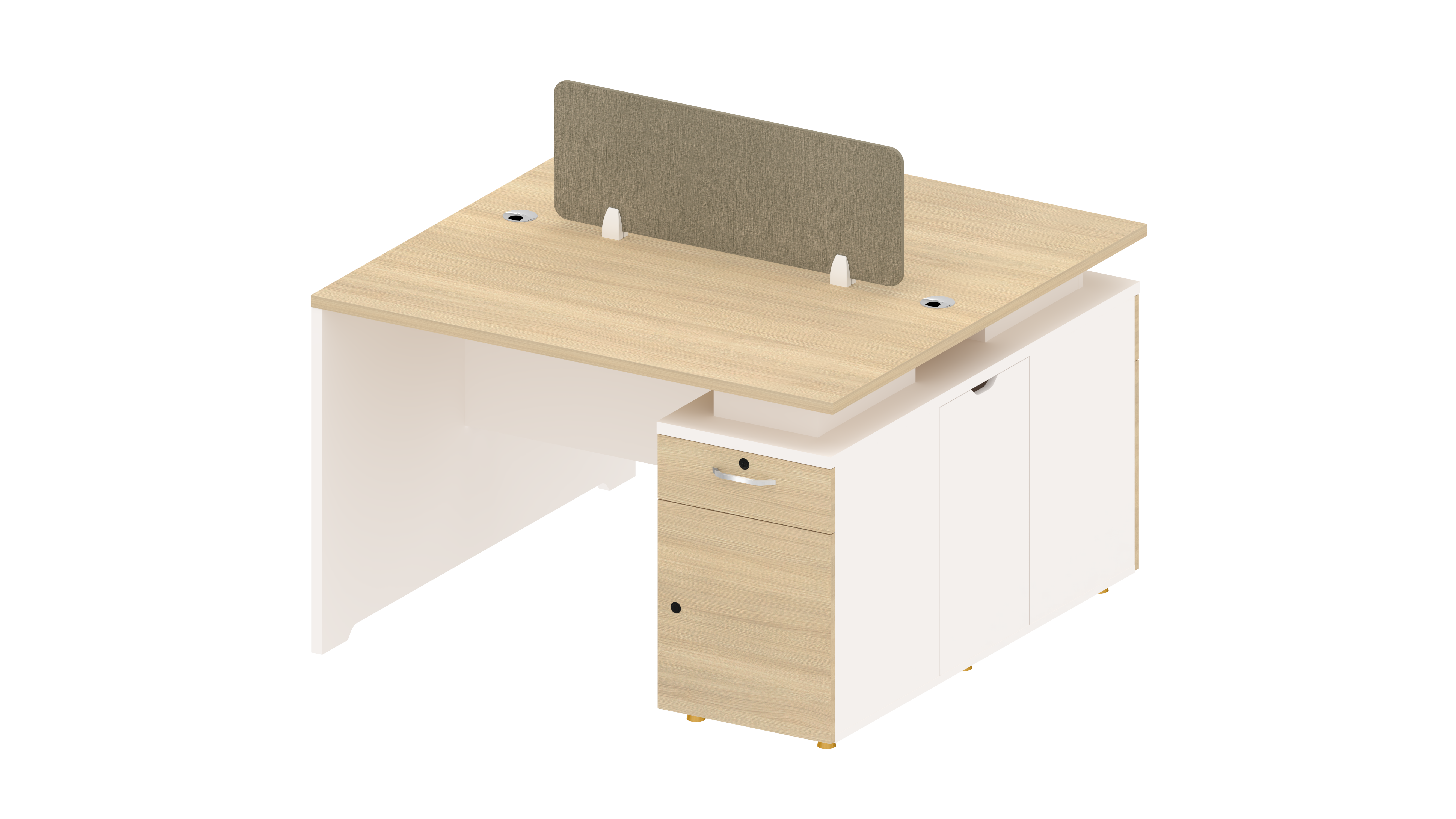 Co-Working Desk