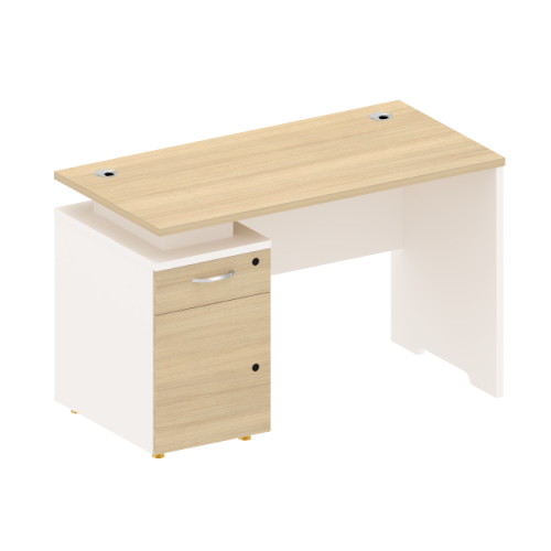 ANDES-Single Desk With Left Cabinet 1.2 m.